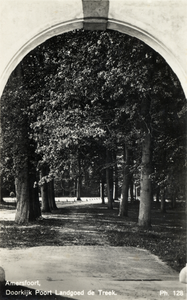 16579 Gezicht in een laan met loofbomen vanuit de poort van het landgoed Den Treek te Leusden.